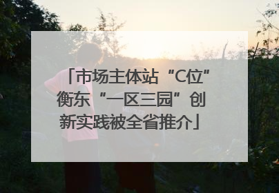 市场主体站“C位” 衡东“一区三园”创新实践被全省推介