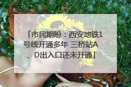 市民期盼：西安地铁1号线开通多年 三桥站A、D出入口还未开通