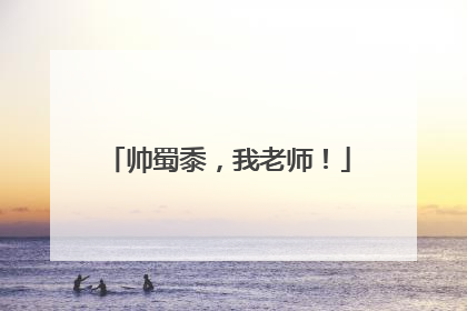 帅蜀黍，我老师！