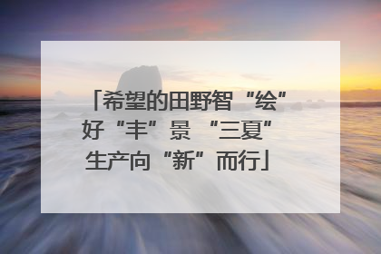 希望的田野智“绘”好“丰”景 “三夏”生产向“新”而行