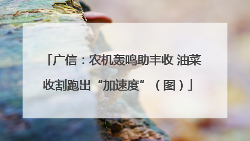 广信：农机轰鸣助丰收 油菜收割跑出“加速度”（图）