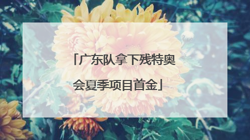 广东队拿下残特奥会夏季项目首金