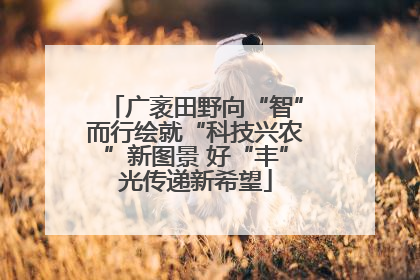 广袤田野向“智”而行绘就“科技兴农”新图景 好“丰”光传递新希望