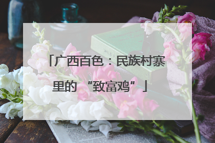 广西百色：民族村寨里的 “致富鸡”