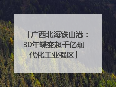 广西北海铁山港：30年蝶变超千亿现代化工业强区