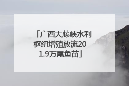 广西大藤峡水利枢纽增殖放流201.9万尾鱼苗