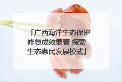 广西海洋生态保护修复成效显著 探索生态惠民发展模式