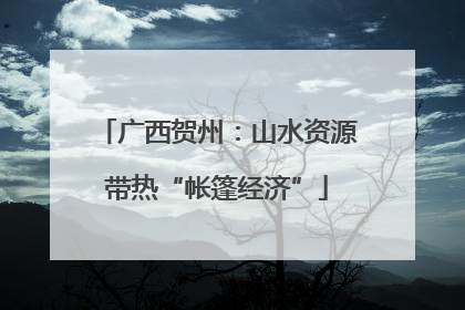 广西贺州：山水资源带热“帐篷经济”