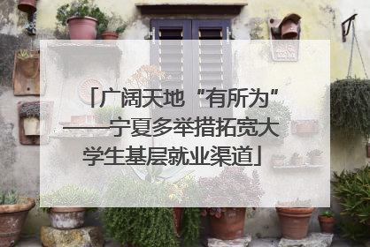 广阔天地“有所为”——宁夏多举措拓宽大学生基层就业渠道