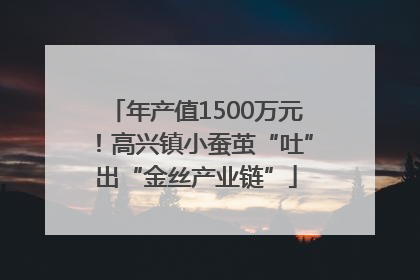 年产值1500万元！高兴镇小蚕茧“吐”出“金丝产业链”
