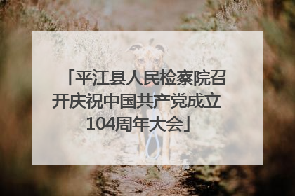 平江县人民检察院召开庆祝中国共产党成立104周年大会