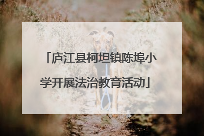 庐江县柯坦镇陈埠小学开展法治教育活动