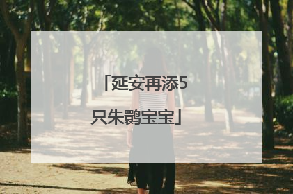 延安再添5只朱鹮宝宝