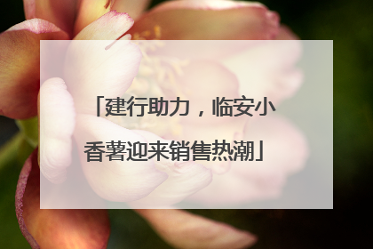 建行助力，临安小香薯迎来销售热潮