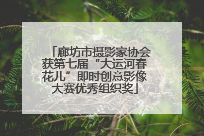 廊坊市摄影家协会获第七届“大运河春花儿”即时创意影像大赛优秀组织奖