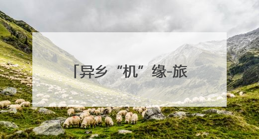 异乡“机”缘-旅途中的温暖守护