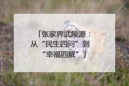张家界武陵源：从“民生四问”到“幸福四解”
