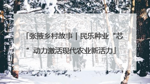 张掖乡村故事｜民乐种业“芯”动力激活现代农业新活力