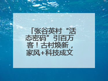 张谷英村“活态密码”引百万客！古村焕新，家风+科技成文旅融合新爆点