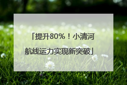 提升80％！小清河航线运力实现新突破