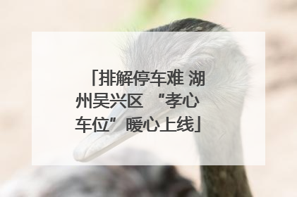 排解停车难 湖州吴兴区 “孝心车位”暖心上线