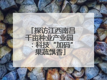 探访江西南昌千亩种业产业园：科技“加码” 果蔬飘香
