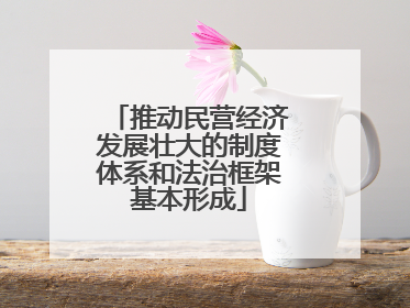 推动民营经济发展壮大的制度体系和法治框架基本形成