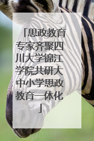 思政教育专家齐聚四川大学锦江学院共研大中小学思政教育一体化