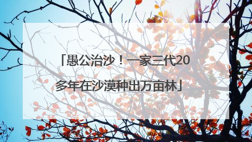 愚公治沙！一家三代20多年在沙漠种出万亩林