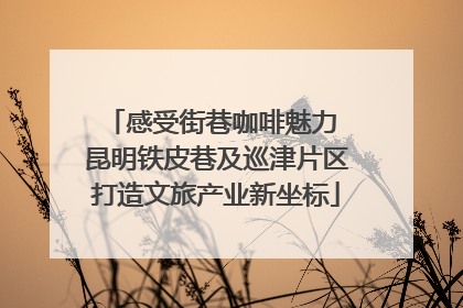 感受街巷咖啡魅力 昆明铁皮巷及巡津片区打造文旅产业新坐标