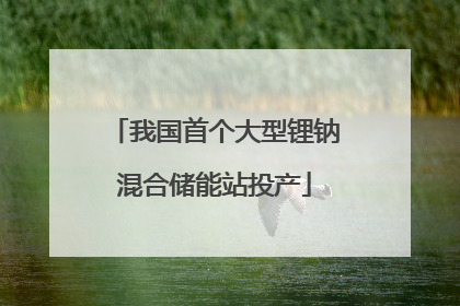 我国首个大型锂钠混合储能站投产