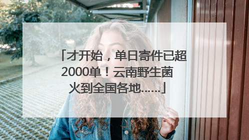 才开始，单日寄件已超2000单！云南野生菌火到全国各地……
