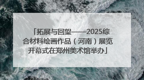 拓展与回望——2025综合材料绘画作品（河南）展览开幕式在郑州美术馆举办