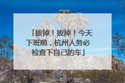拔掉！拔掉！今天下班前，杭州人务必检查下自己的车