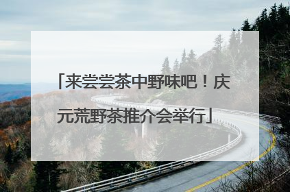 来尝尝茶中野味吧！庆元荒野茶推介会举行