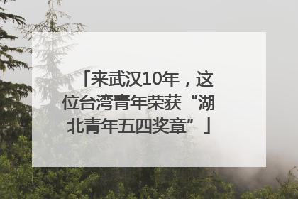来武汉10年，这位台湾青年荣获“湖北青年五四奖章”