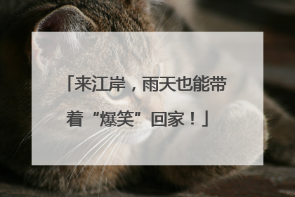 来江岸，雨天也能带着“爆笑”回家！
