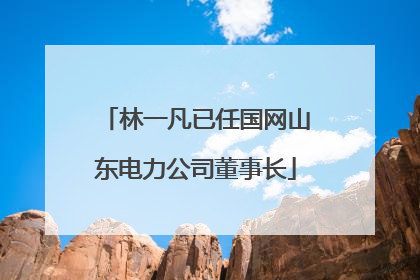 林一凡已任国网山东电力公司董事长