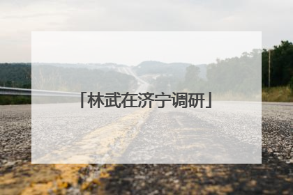 林武在济宁调研