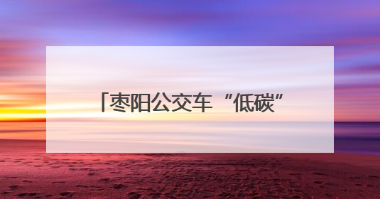 枣阳公交车“低碳”迎亲 诠释别样浪漫