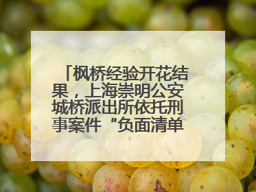 枫桥经验开花结果，上海崇明公安城桥派出所依托刑事案件“负面清单”强化派出所“主防”