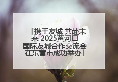 携手友城 共赴未来 2025黄河口国际友城合作交流会在东营市成功举办