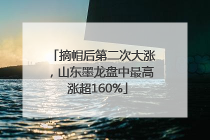 摘帽后第二次大涨，山东墨龙盘中最高涨超160%