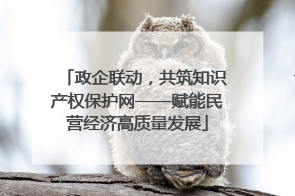 政企联动，共筑知识产权保护网——赋能民营经济高质量发展
