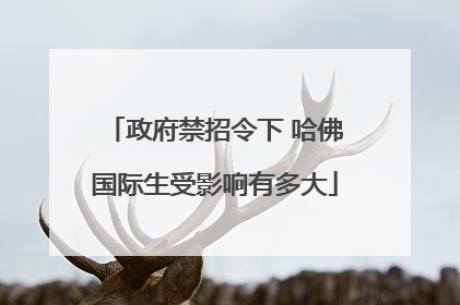 政府禁招令下 哈佛国际生受影响有多大