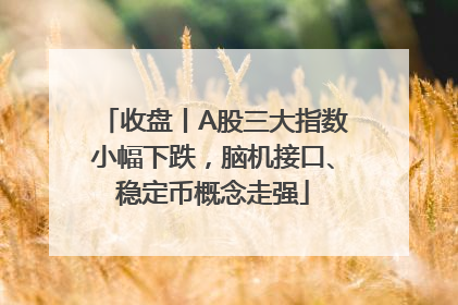 收盘丨A股三大指数小幅下跌，脑机接口、稳定币概念走强