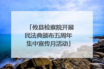 攸县检察院开展民法典颁布五周年集中宣传月活动