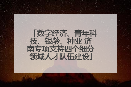 数字经济、青年科技、银龄、种业 济南专项支持四个细分领域人才队伍建设
