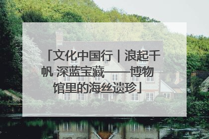 文化中国行｜浪起千帆 深蓝宝藏——博物馆里的海丝遗珍