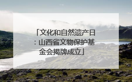 文化和自然遗产日：山西省文物保护基金会揭牌成立